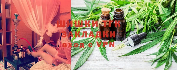 мдпв Волоколамск