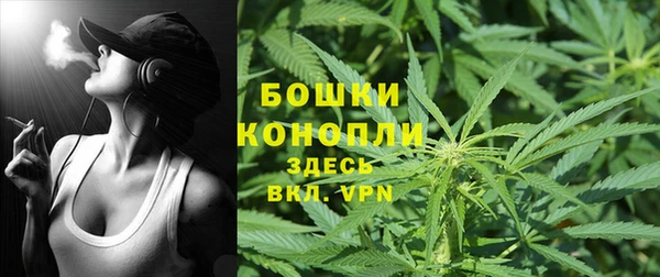 мдпв Волоколамск