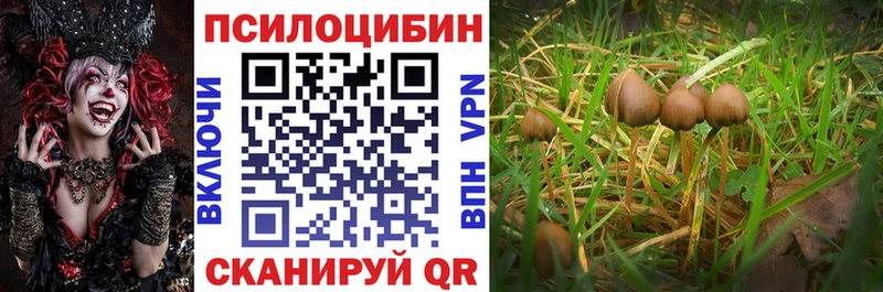 ссылка на мегу как зайти  Казань  Галлюциногенные грибы мицелий 